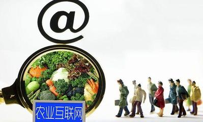 烏鎮(zhèn)國際互聯(lián)農業(yè)博覽園 科技賦能，走內涵式現(xiàn)代農業(yè)發(fā)展新路